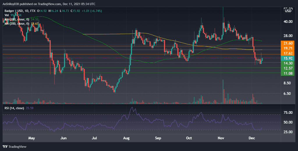 BADGERUSD on the daily charts with RSI. Source: Tradingview.com
